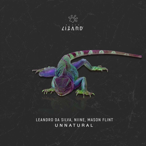 Leandro Da Silva, Mason Flint, NIINE - Unnatural [BL2209DJ]